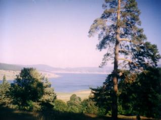 image1.jpg